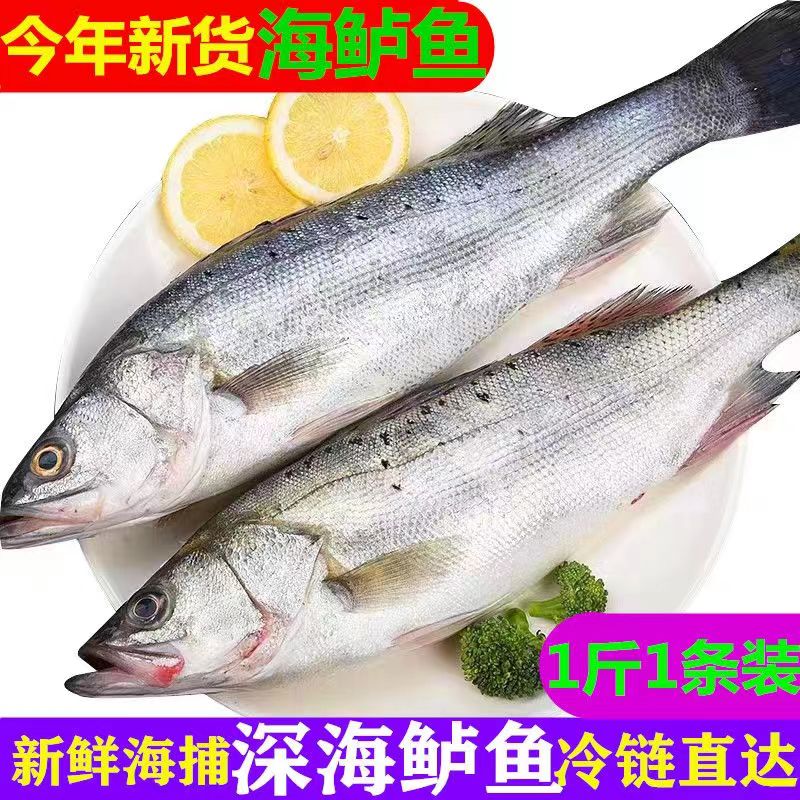 鲈鱼整条新鲜深海鲈鱼冷冻整条发货