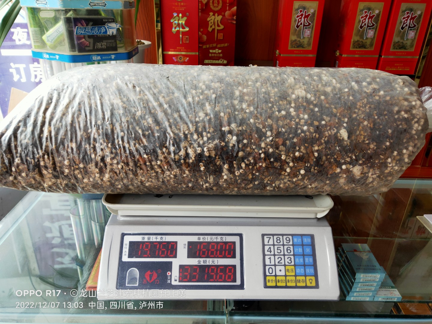 兰花植料，适用于兰科植物种植，舒松透气沥水，走根快，发苗快！