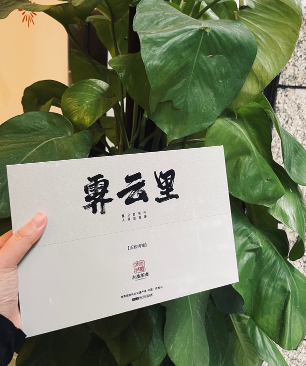霁云里（武夷山碧石岩肉桂6泡装）