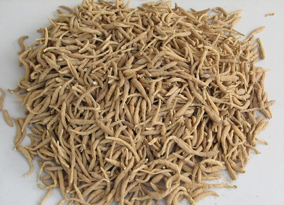 云南农家现收太籽申煲汤煮水可搭配无花果一起煲汤