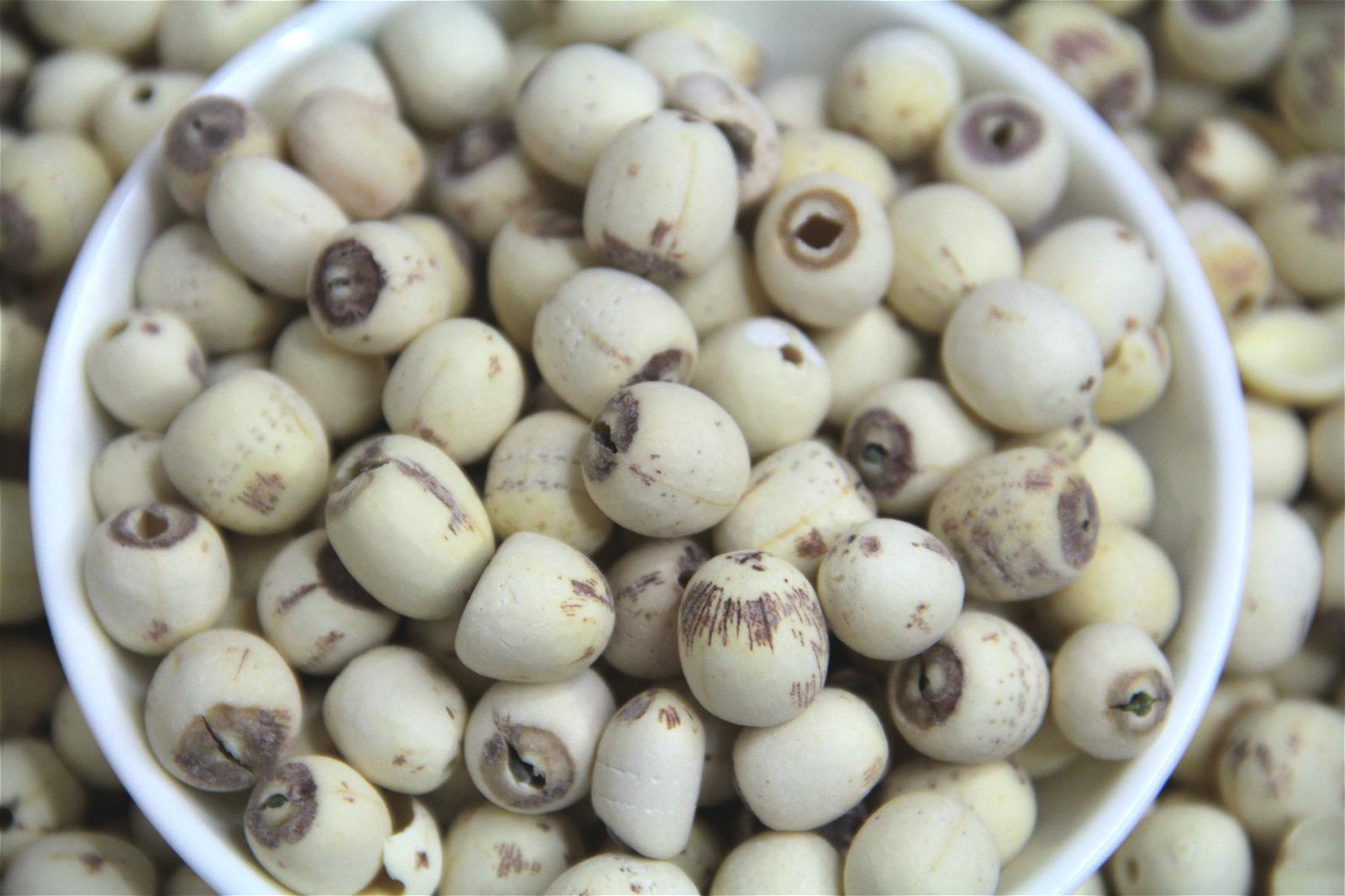 小魏家现收云南农家白莲子好吃软糯煲汤煮甜汤红莲子