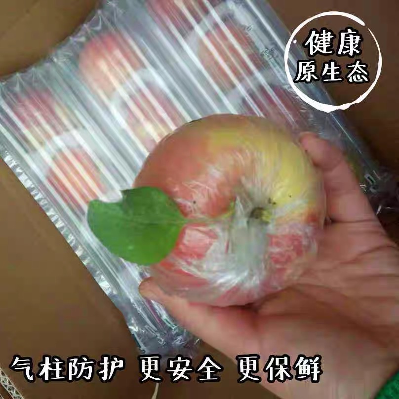 现摘现发 正宗徐州丰县大沙河红富士苹果