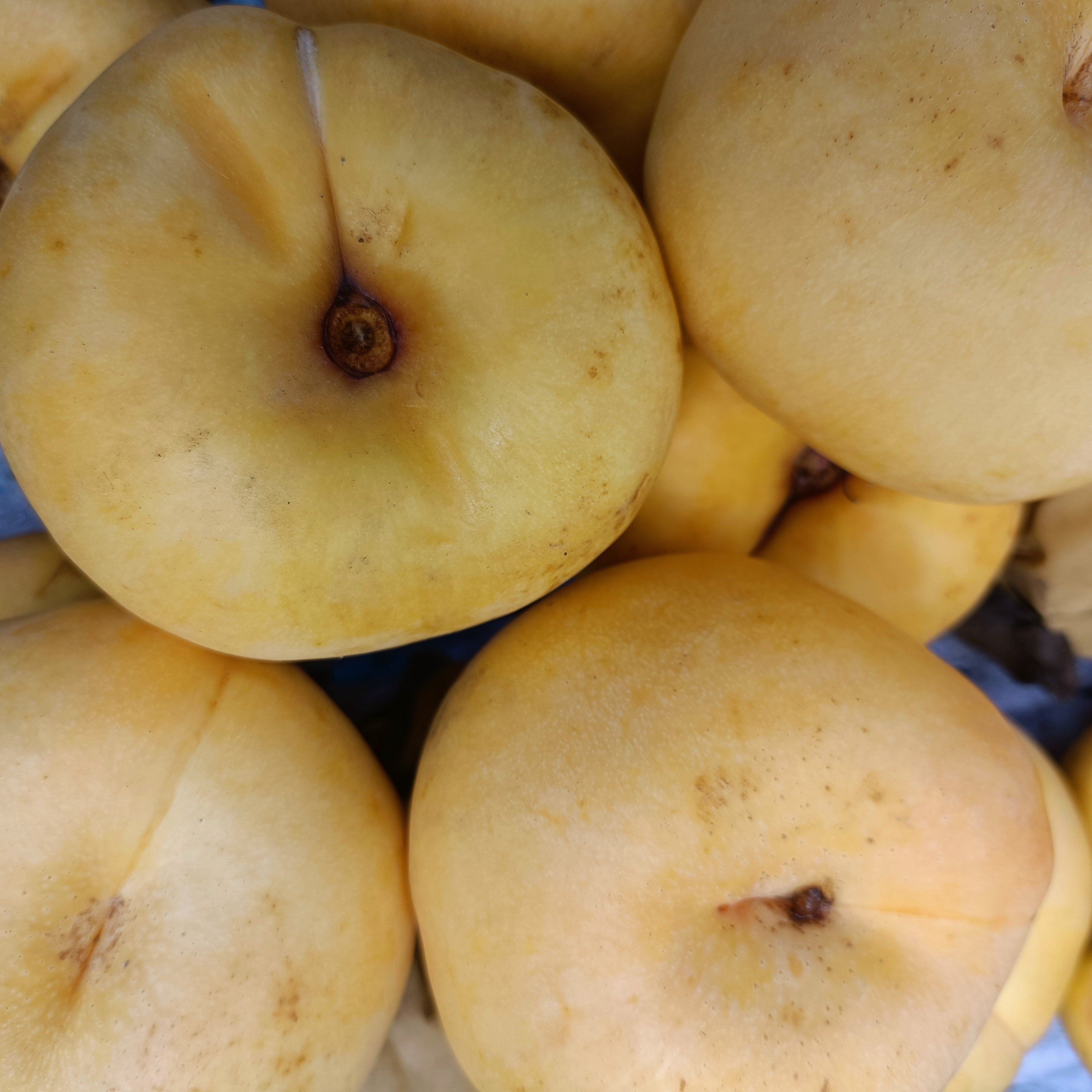 天津本地天后黄油蟠桃拍3发5斤桃味浓京东或顺丰包邮