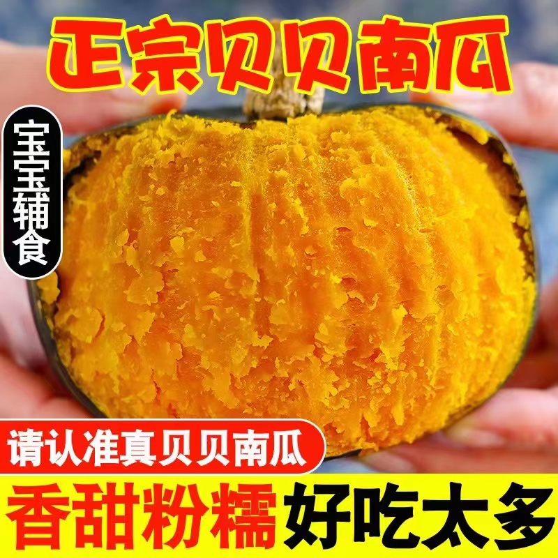 山东寿光蔬菜之乡 新鲜贝贝南瓜板栗味宝宝辅食粉糯香甜口感正宗