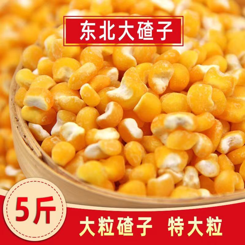 2025年新粮东北笨大粒碴子整粒去胚芽玉米粒大碴子大碴粥芸豆