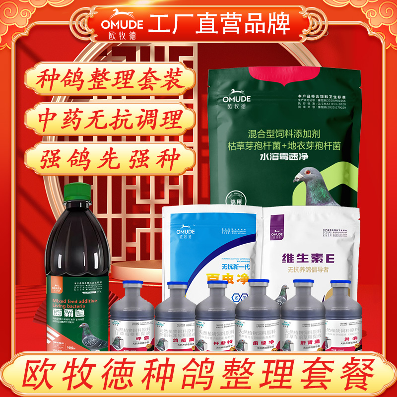 欧牧徳种鸽整理套餐