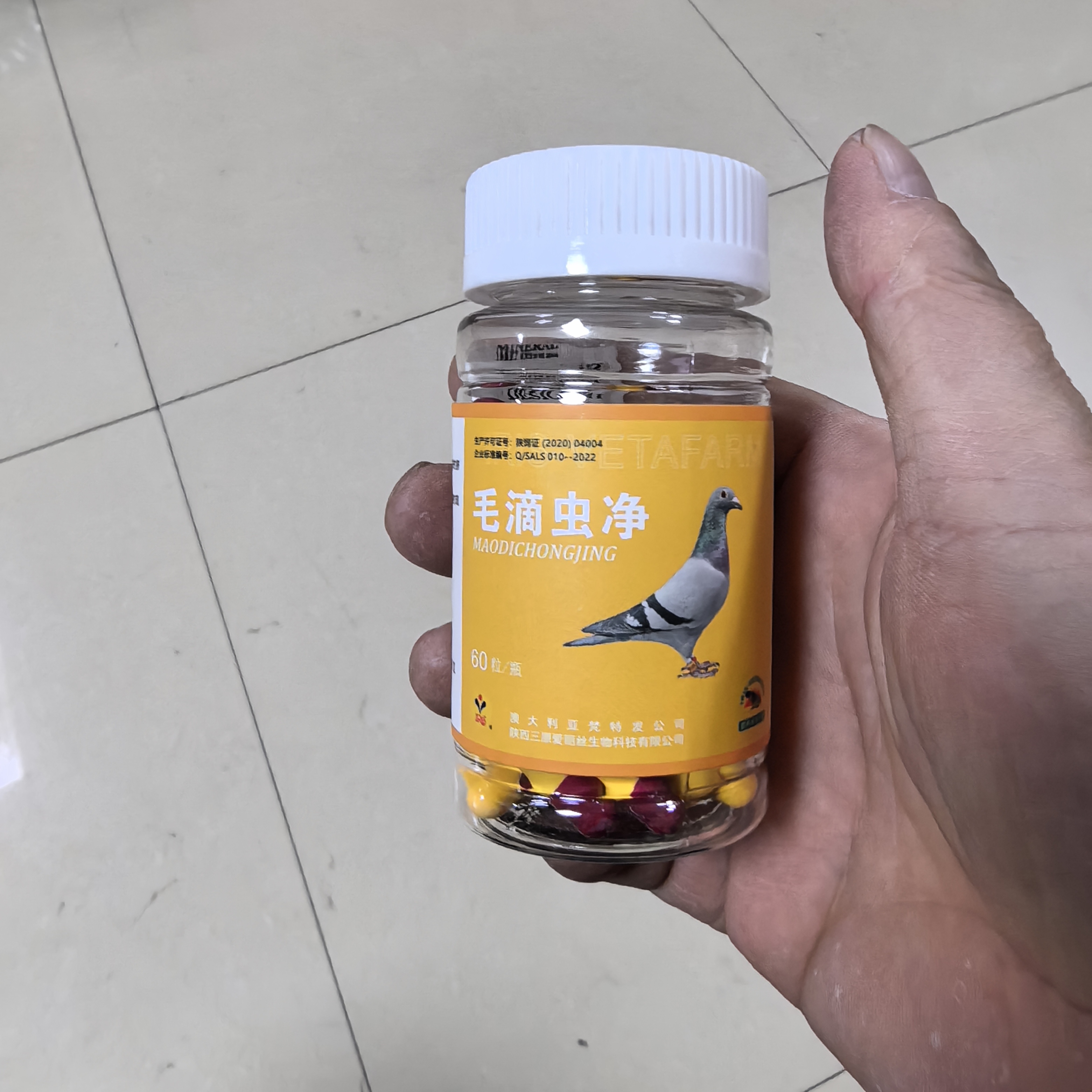 西安爱丽丝毛滴虫净粉10袋和60粒的俩个规格信鸽用赛鸽宠物鸽用品