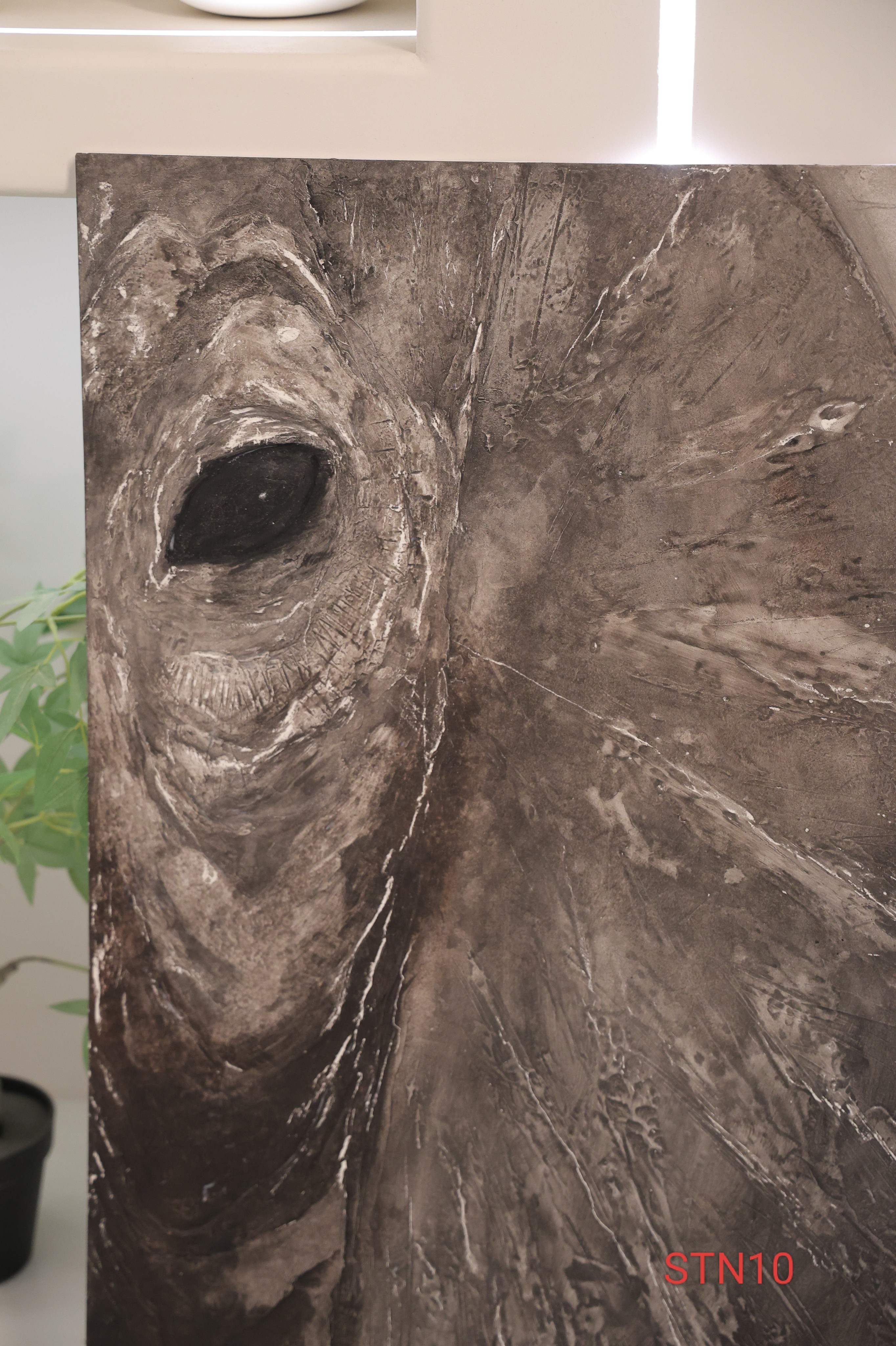 斯塔尼微水泥独具慧眼设计院定制样板