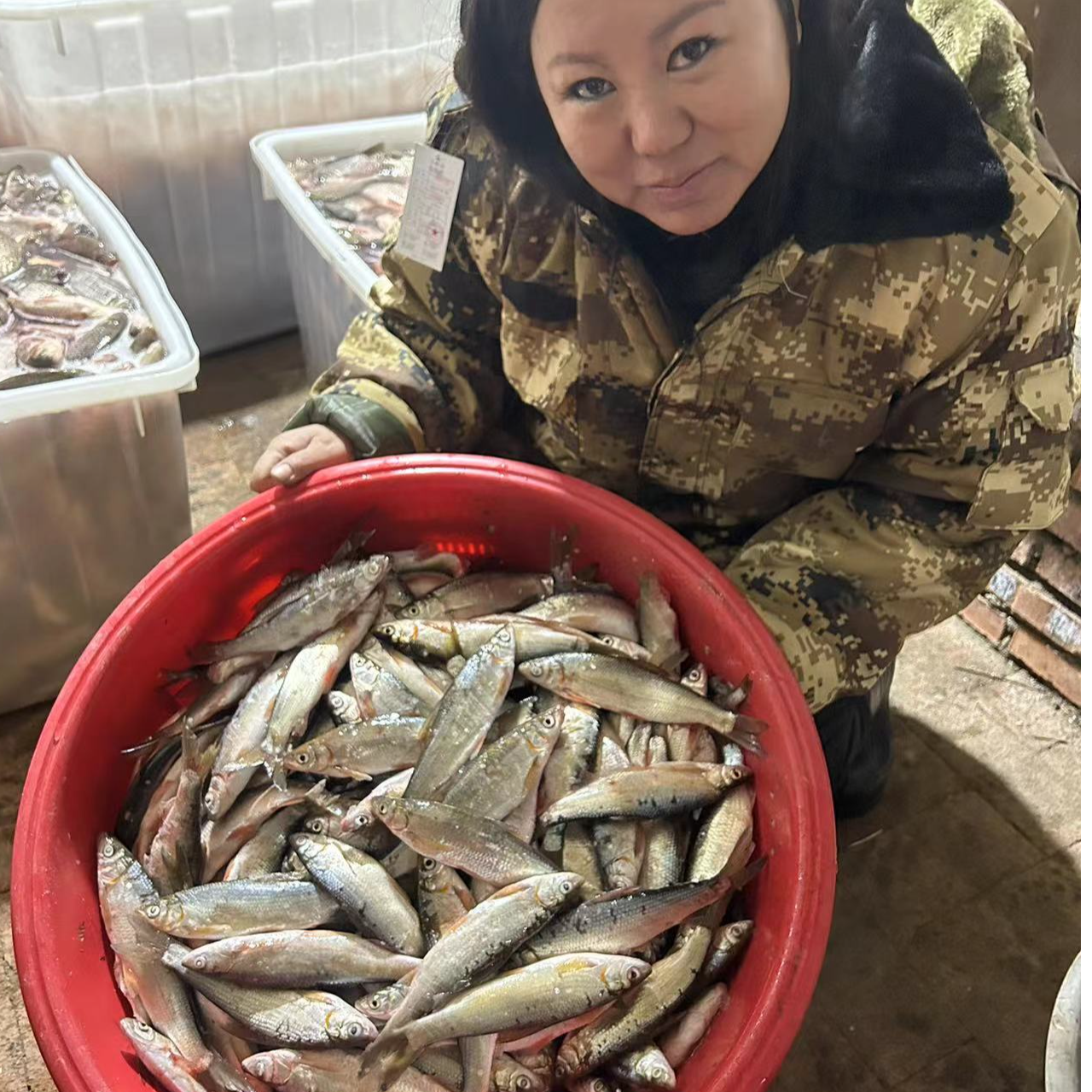 乌苏里江冷水小杂鱼皇姑子