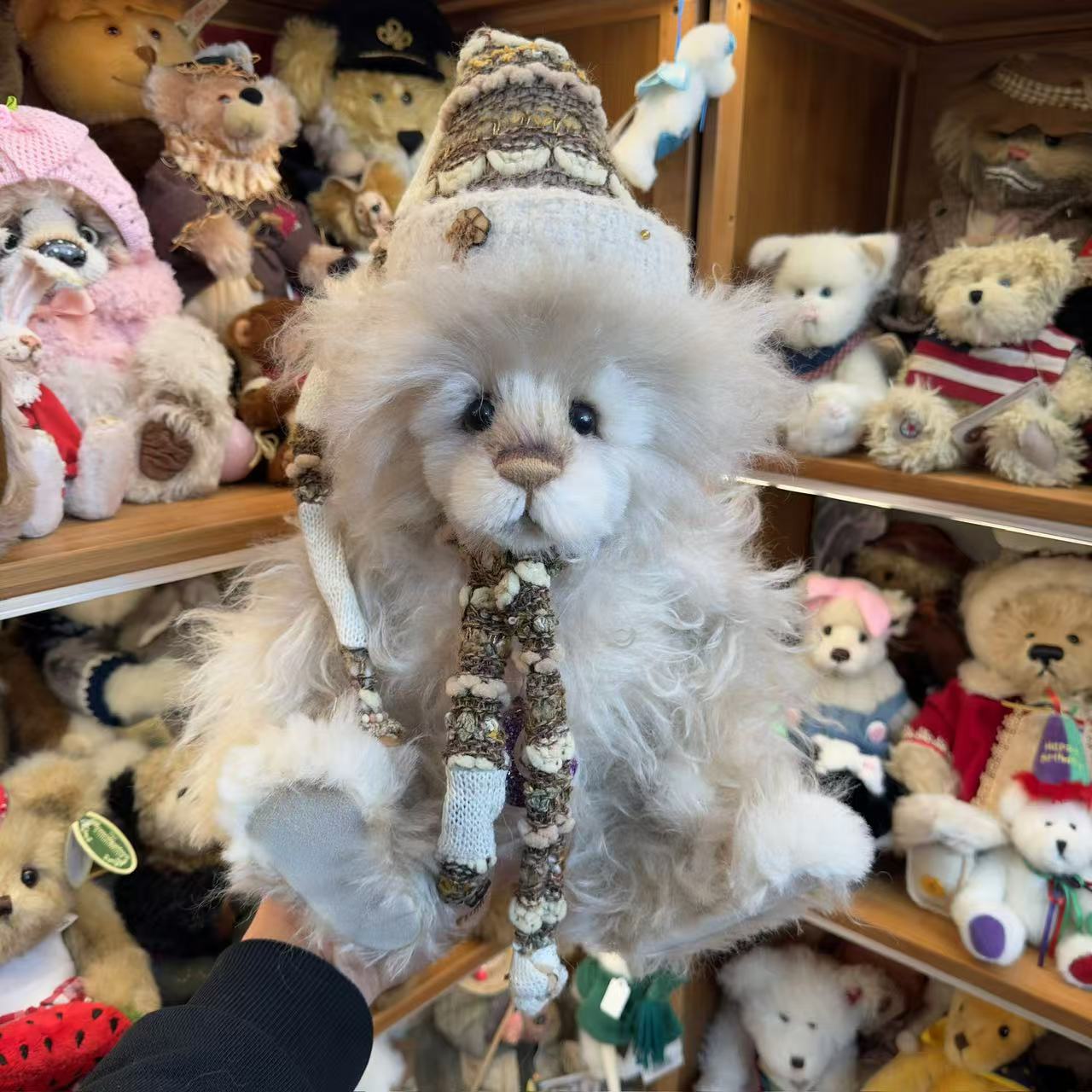 Charlie beras查理熊不定期掉落