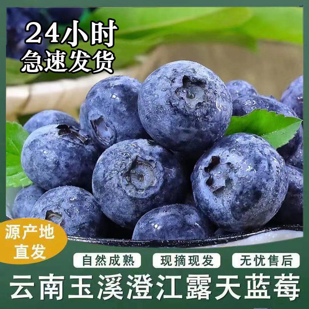 【顺丰蓝莓王】蓝莓大果当季鲜果蓝莓新鲜孕妇水果一整箱批发