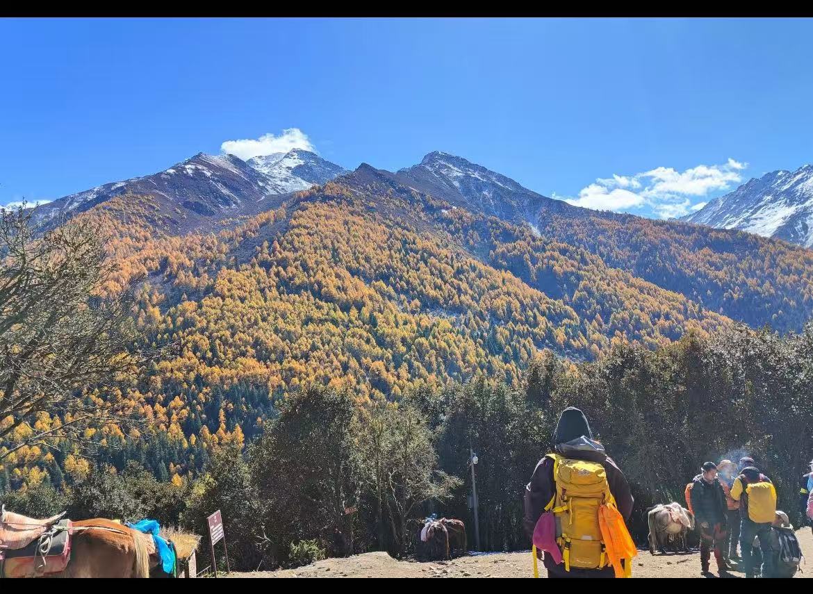 50L男女同款户外双肩背包