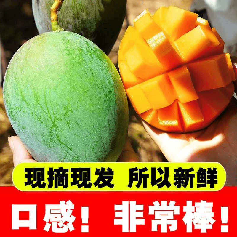 【礼盒装❤】正宗攀枝花凯特芒果当季新鲜现摘水果芒果香甜多汁产地