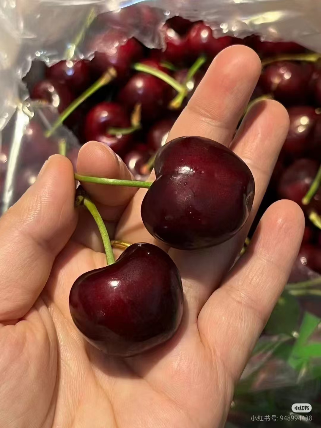 车厘子  4J黑色车厘子 内附果径卡