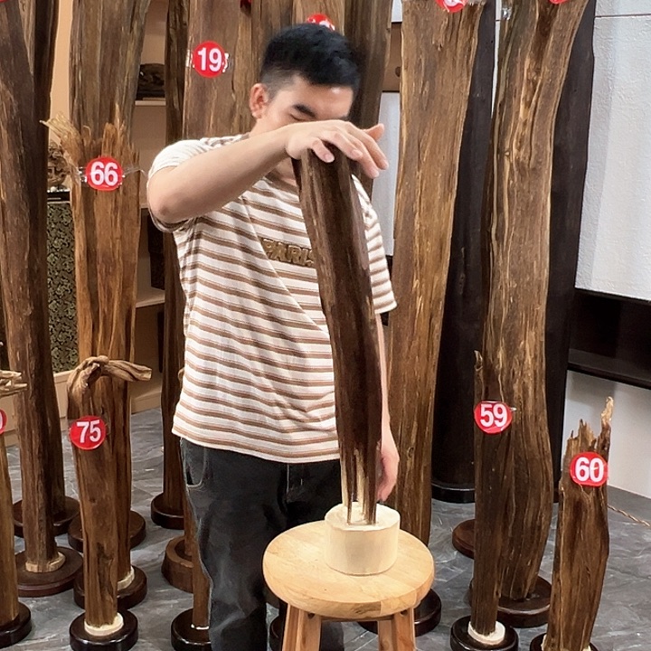 沉香摆件海南沉香原料摆件