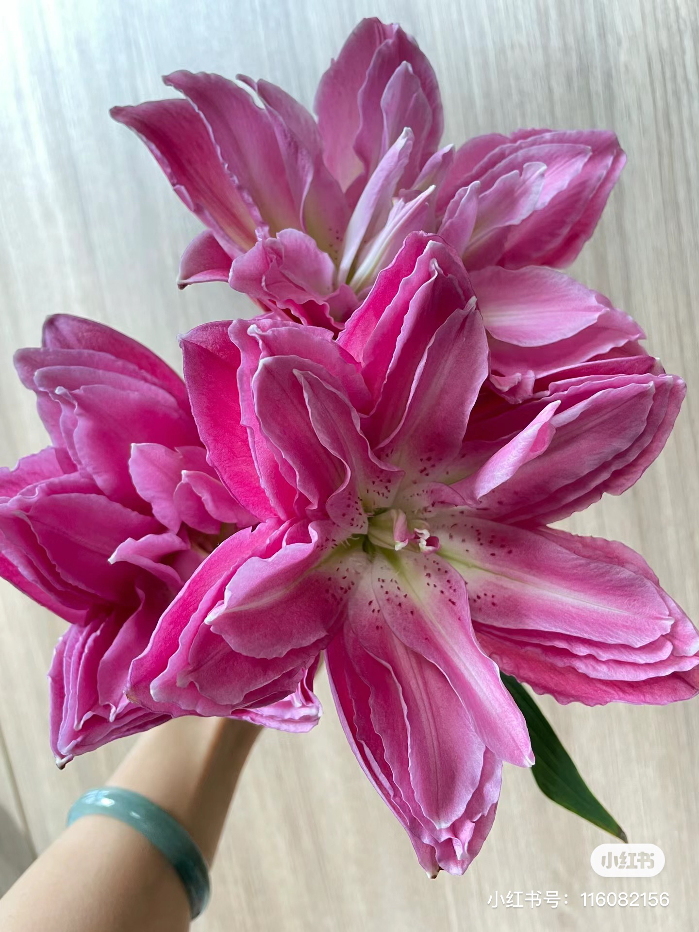 2号紫莲花重瓣百合1把10枝，混头，我要买我不售后