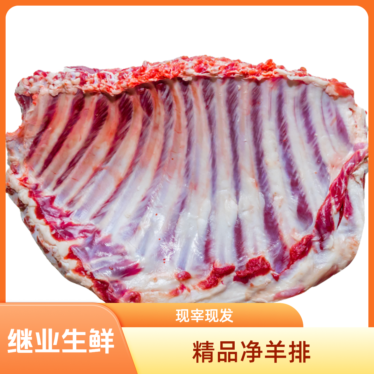 -/竟瑄（爆款）五斤带皮新鲜羊排烤羊排肉顺丰包邮发货肉质