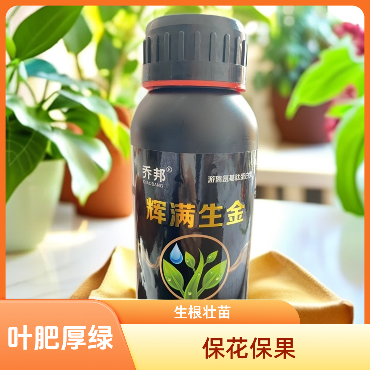 辉满黄金可打十桶，叶片厚绿，保叶增产