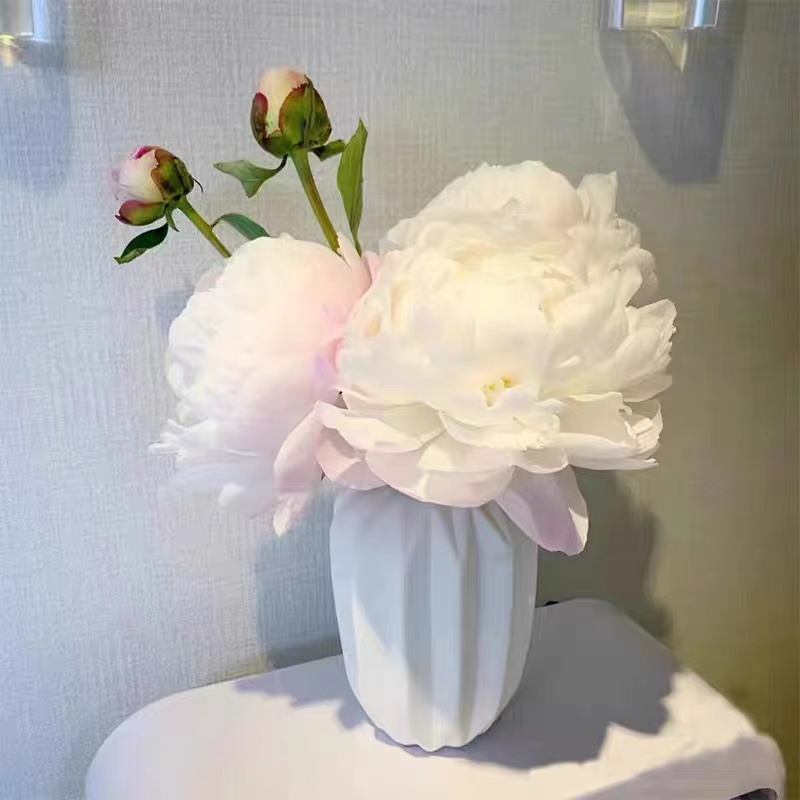 鲜花保温棉】补运费。补差价
