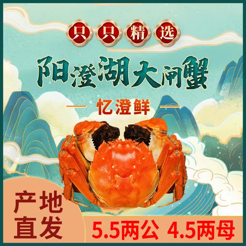 【阳澄湖大闸蟹】超大活蟹公5.5两 母4.5两6只/8只礼盒装阳澄湖塘养