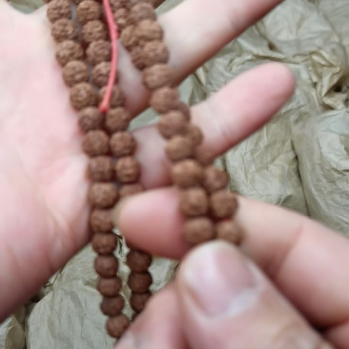 【闪购商品】瓷瓷片