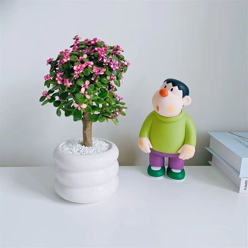 现挑现选  内蒙古肉肉