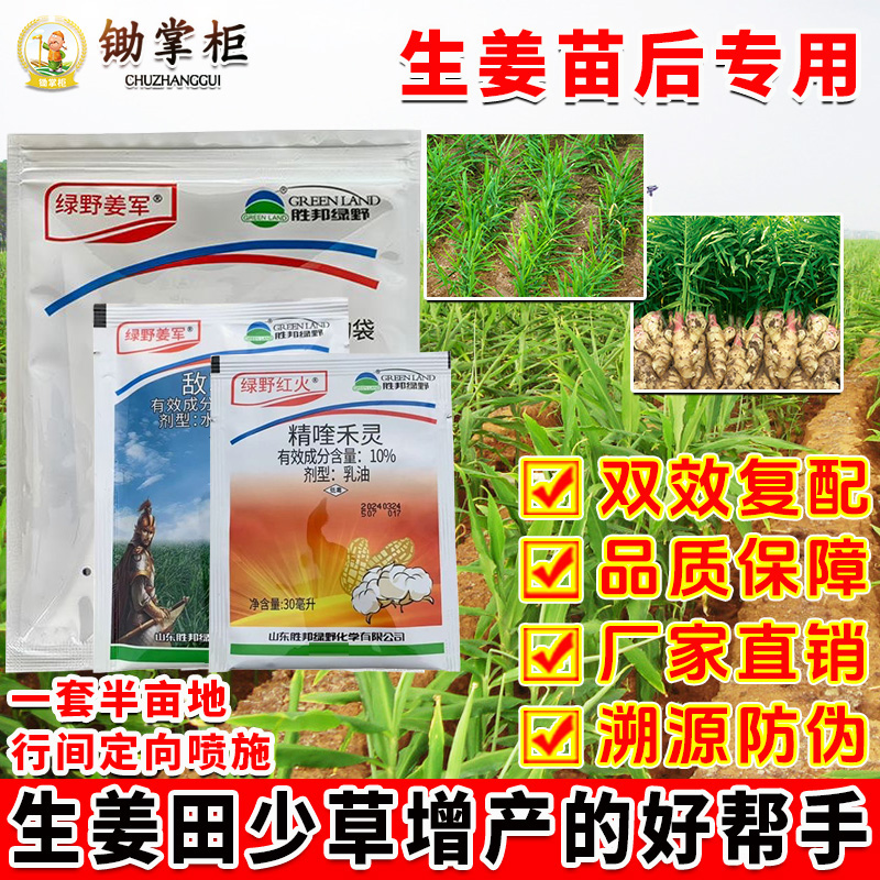 锄掌柜生姜除草剂大姜田灭杂草禾阔双杀苗后除草剂敌草隆精喹禾灵