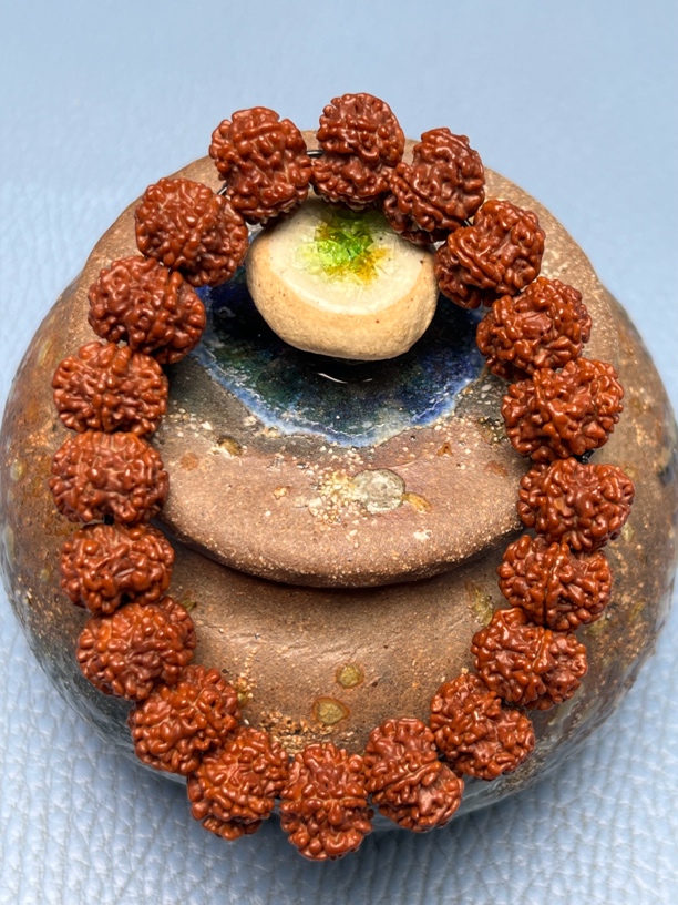 金刚菩提手串 原生态龙骨梅花