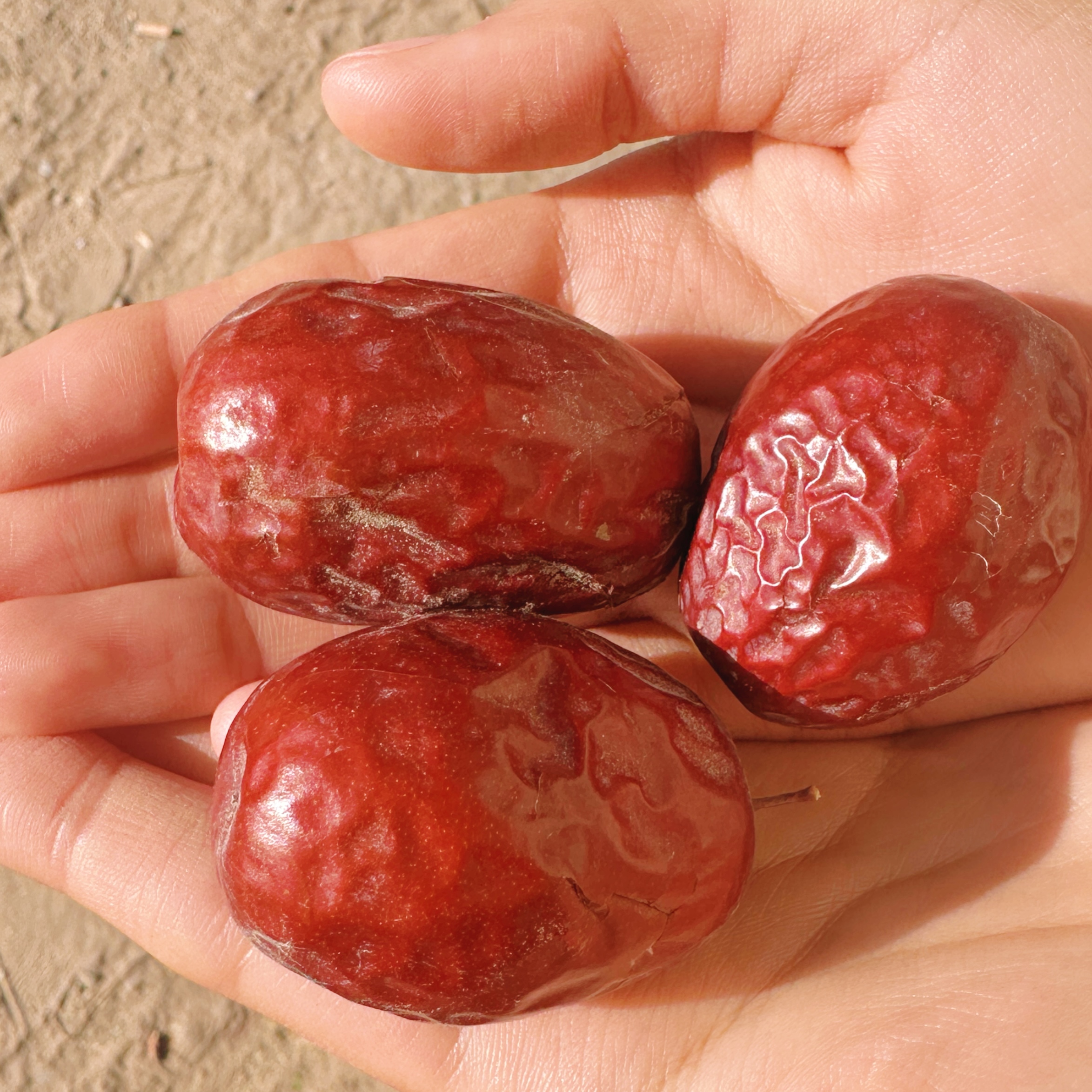 新疆和田大枣2025年新货未清洗大小混果原产地直发