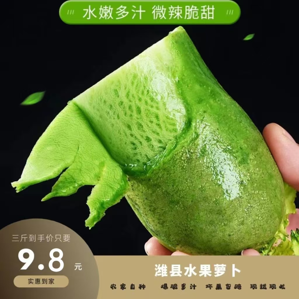 【现拔带泥】正宗潍坊水果萝卜生吃脆甜微辣青萝卜净重3/5/9斤包邮