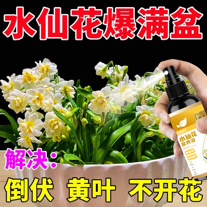 水仙花营养液通用型水仙花专用营养液花肥绿植水培植物肥料治黄叶
