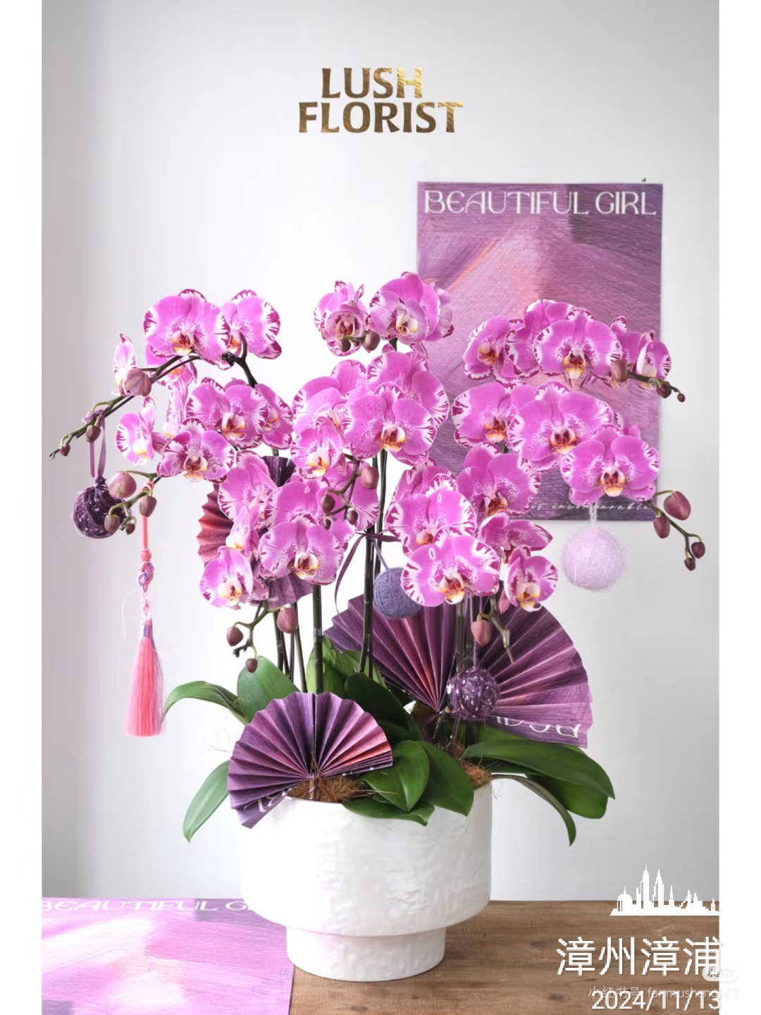 蝴蝶兰皇图霸业花卉绿植净化空气个性张扬美丽动人高端大气上档次