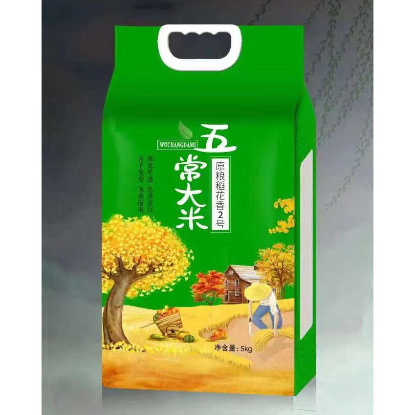 蜚昊2025年新五常大米稻花香10斤真空手提