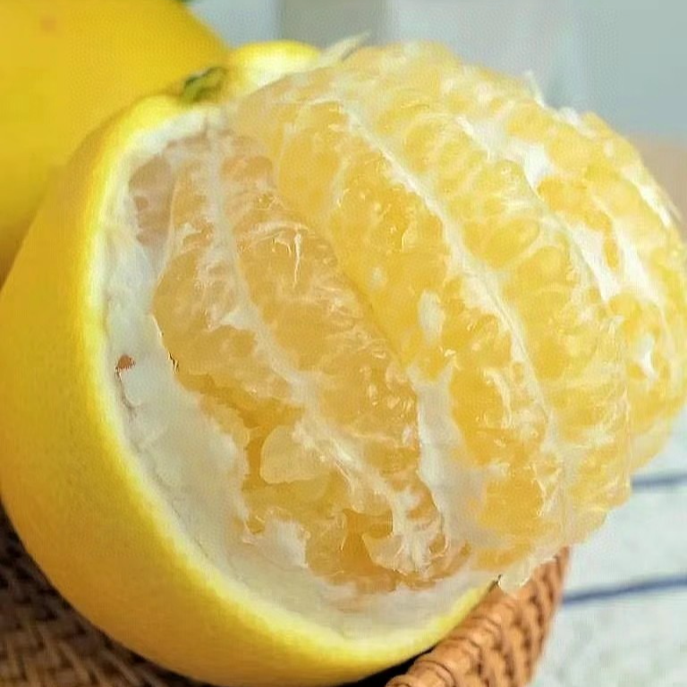 甜小吉葡萄柚单果
