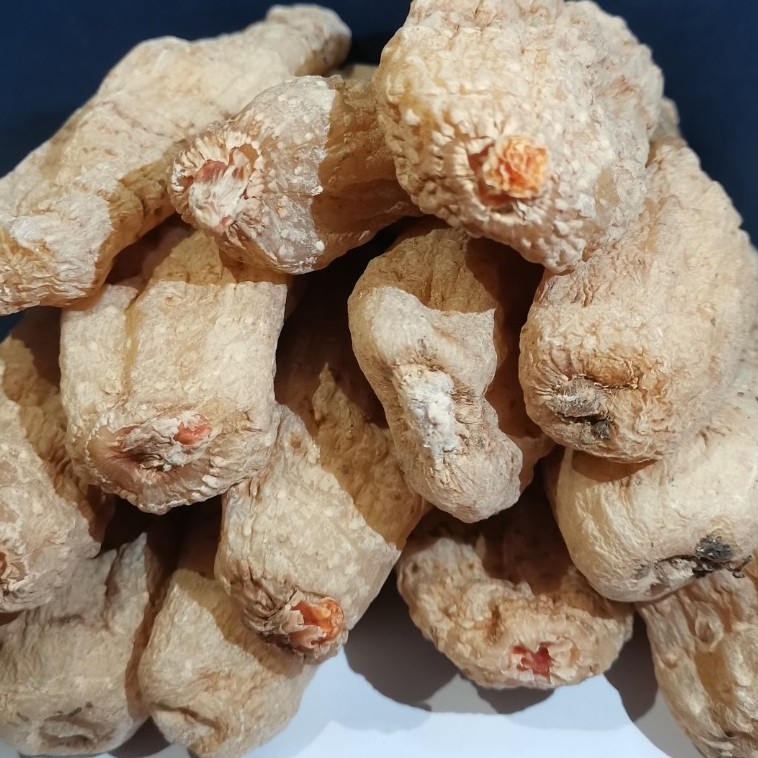 （昭通天麻）云南昭通干麻小草坝高山林下野外生大果250g