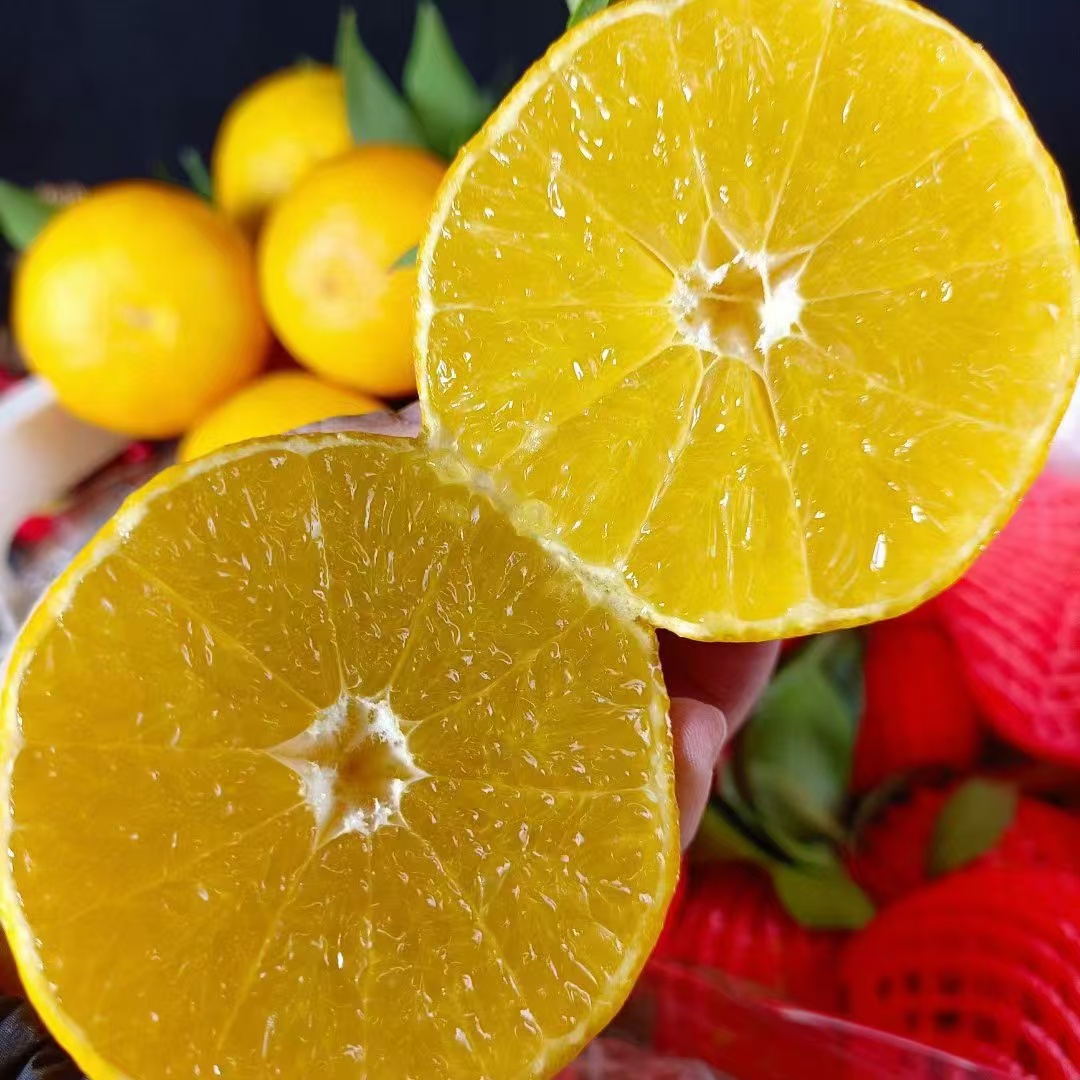 四川嘉隆爱媛果冻橙一箱净重7.5斤