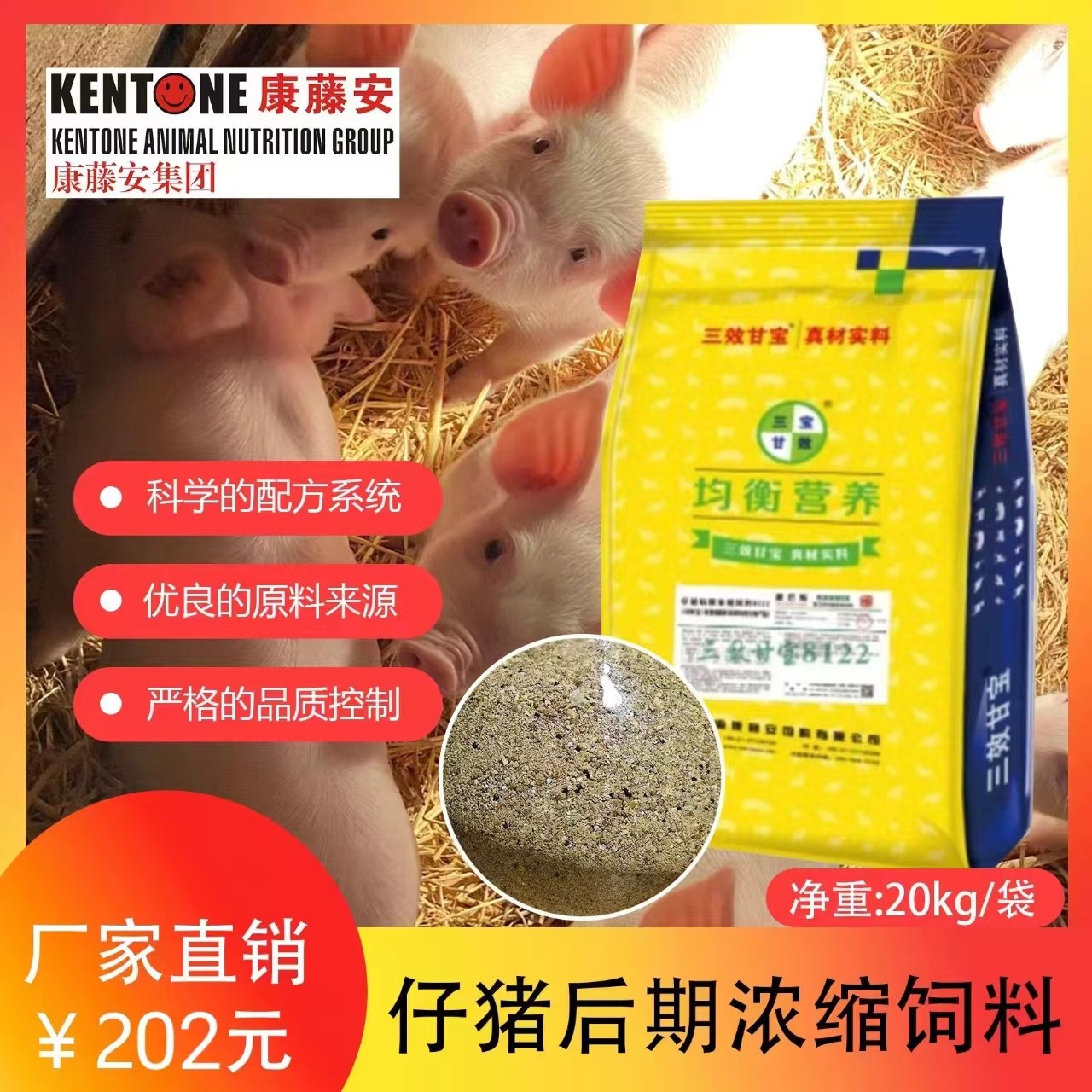 康藤安三效甘宝8122仔猪饲料/泔水/营养/均衡/浓缩/优质原料/品牌