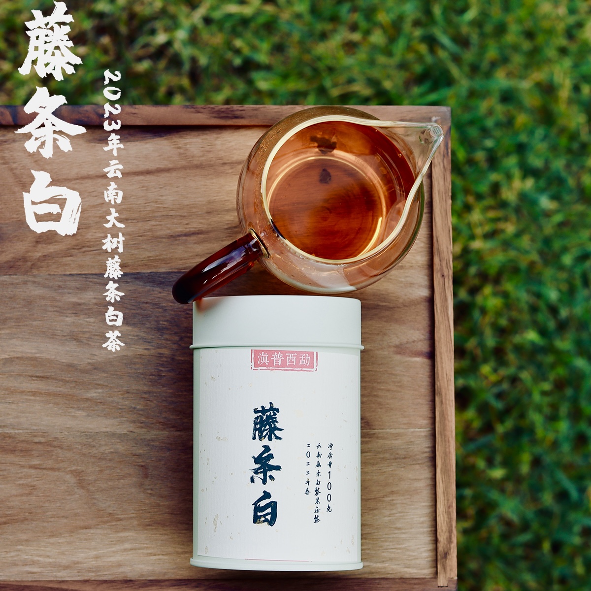滇普西勐龙珠紧压藤条白茶龙珠100g香气方便春茶23年