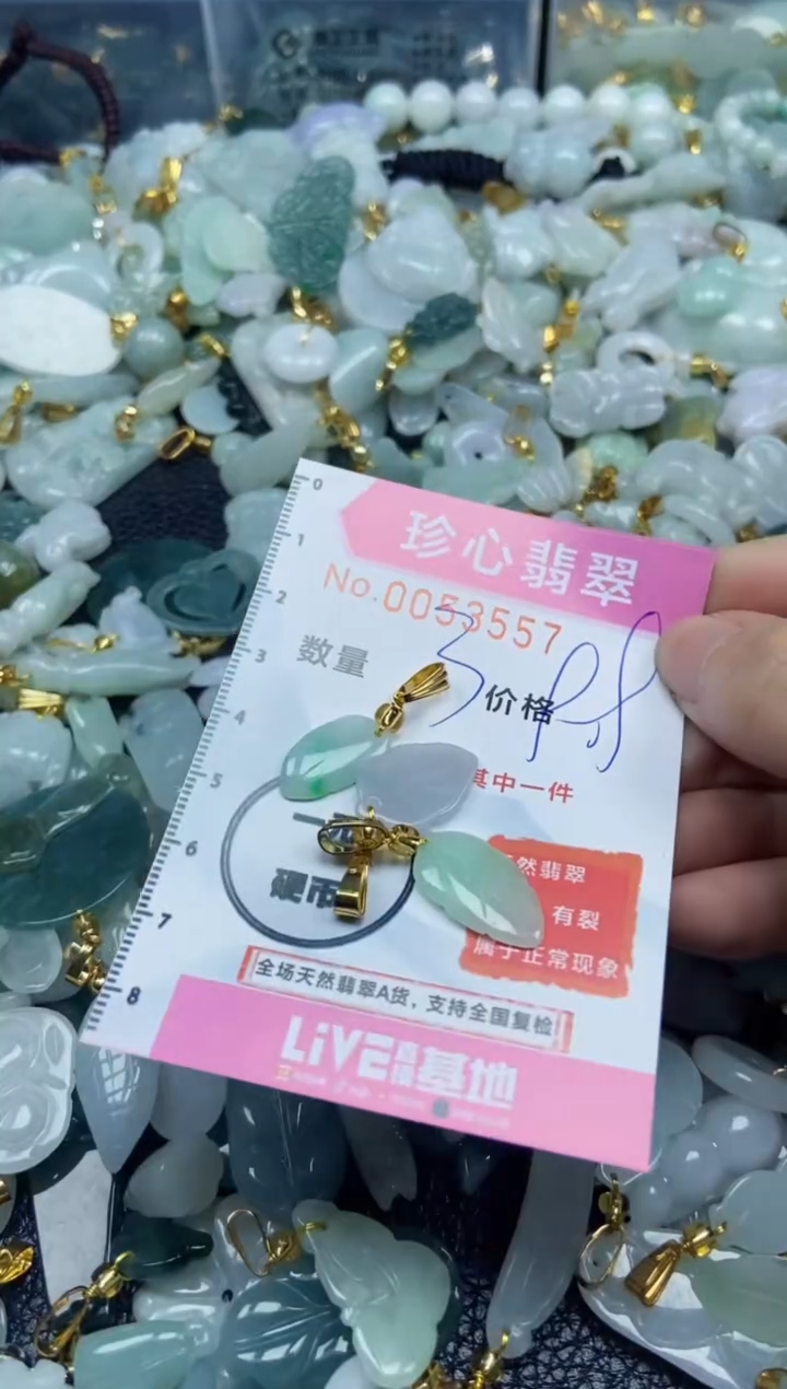 【闪购商品】翡翠颈饰未镶嵌闪购0053557