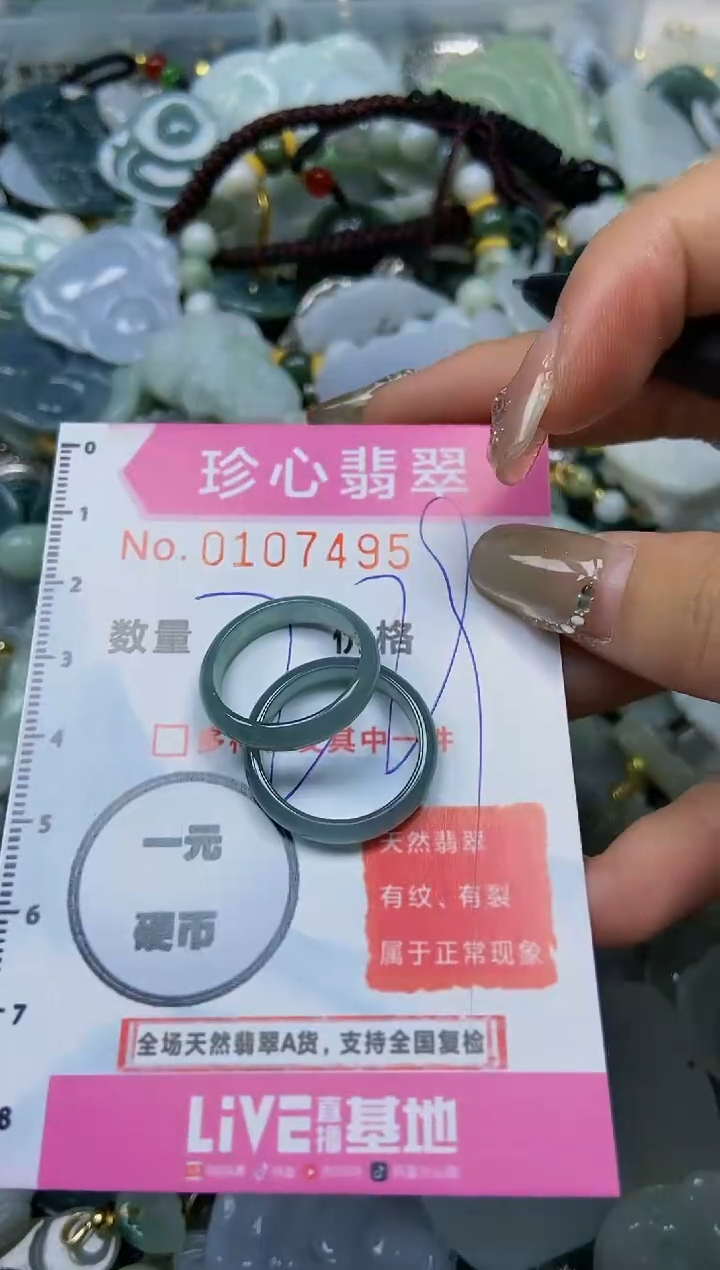 【闪购商品】翡翠颈饰未镶嵌闪购0107495