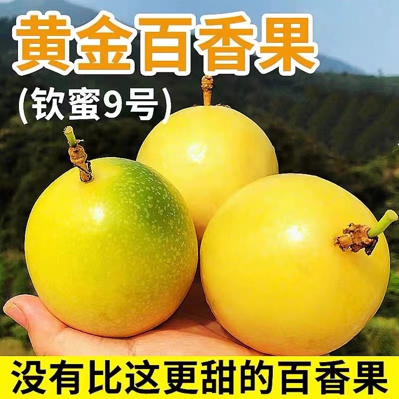 【爆甜】正宗黄金百香果钦蜜9号大果孕妇新鲜当季水果批发3斤百香果