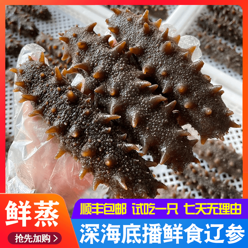 正宗大连辽刺参 即食海参 营养丰富送礼佳品5斤更多 鱼 类