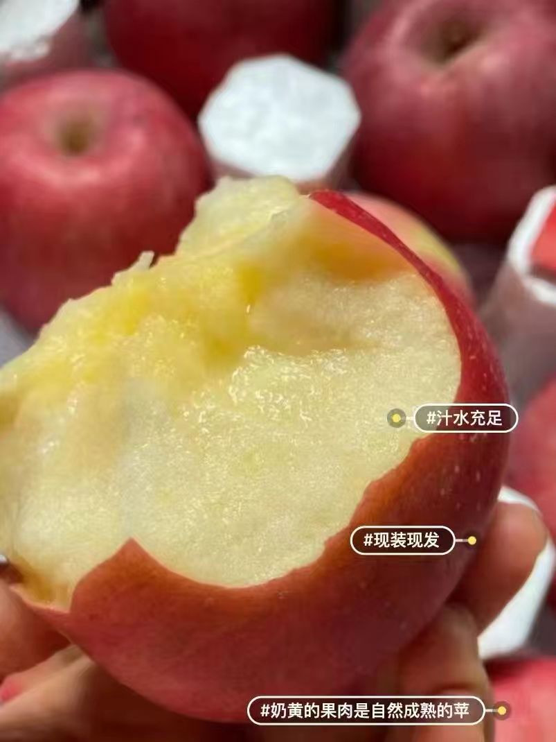 当季水果苹果香甜可口肉厚多汁电商盒发货