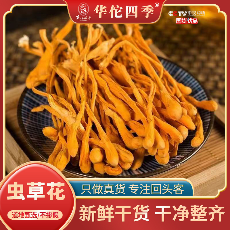 虫草花头茬优质虫草花新鲜干货煲菌菇汤干锅爆炒