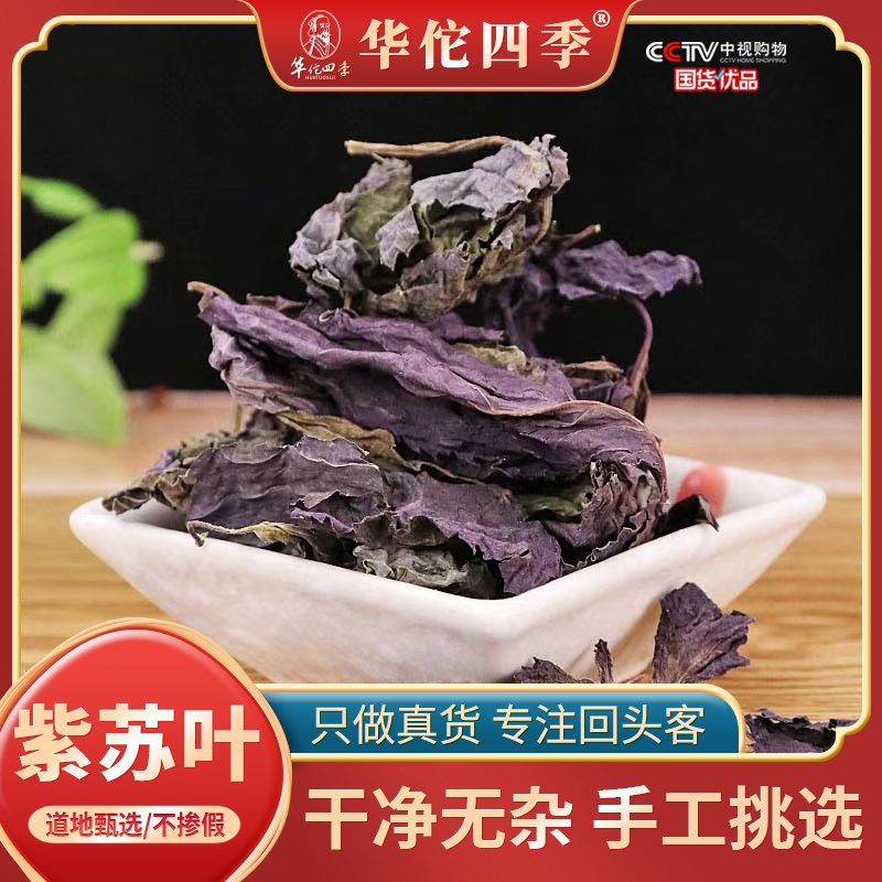 华佗四季紫苏叶新鲜苏子叶食用干货干净无杂泡茶烧鱼虾蟹去腥泡水