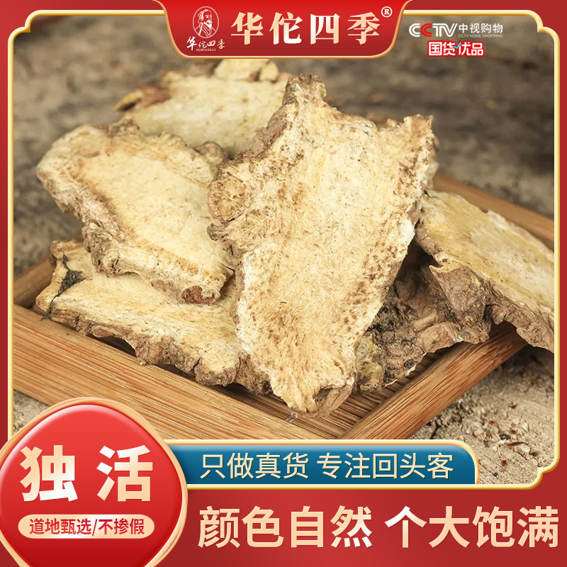 华佗四季独活 新货四川深山大片新货独活大片可泡水另售当归