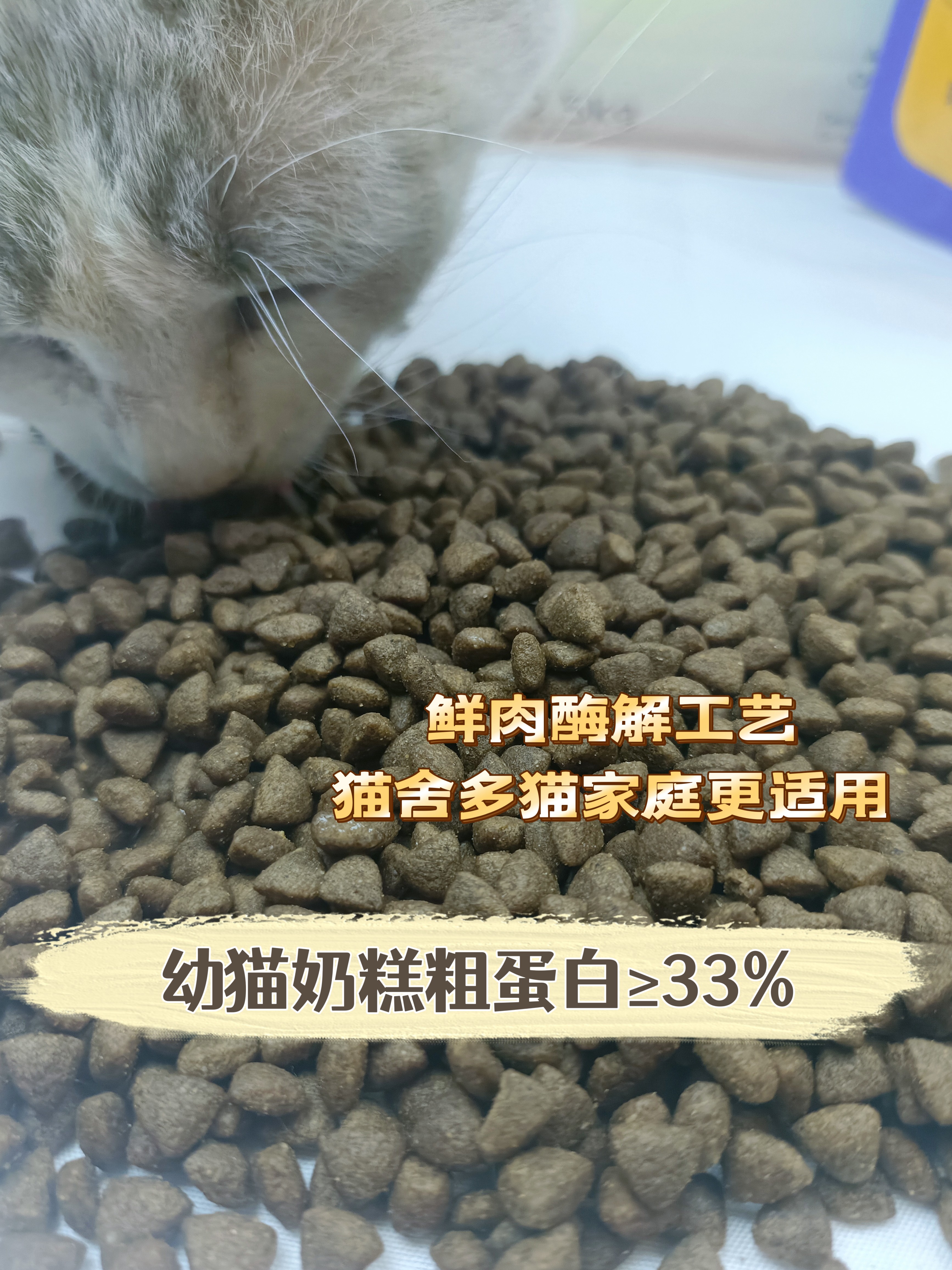 简装奶糕猫粮全期鲜肉酶解工艺成猫幼猫通用型增肥发腮猫舍家庭装