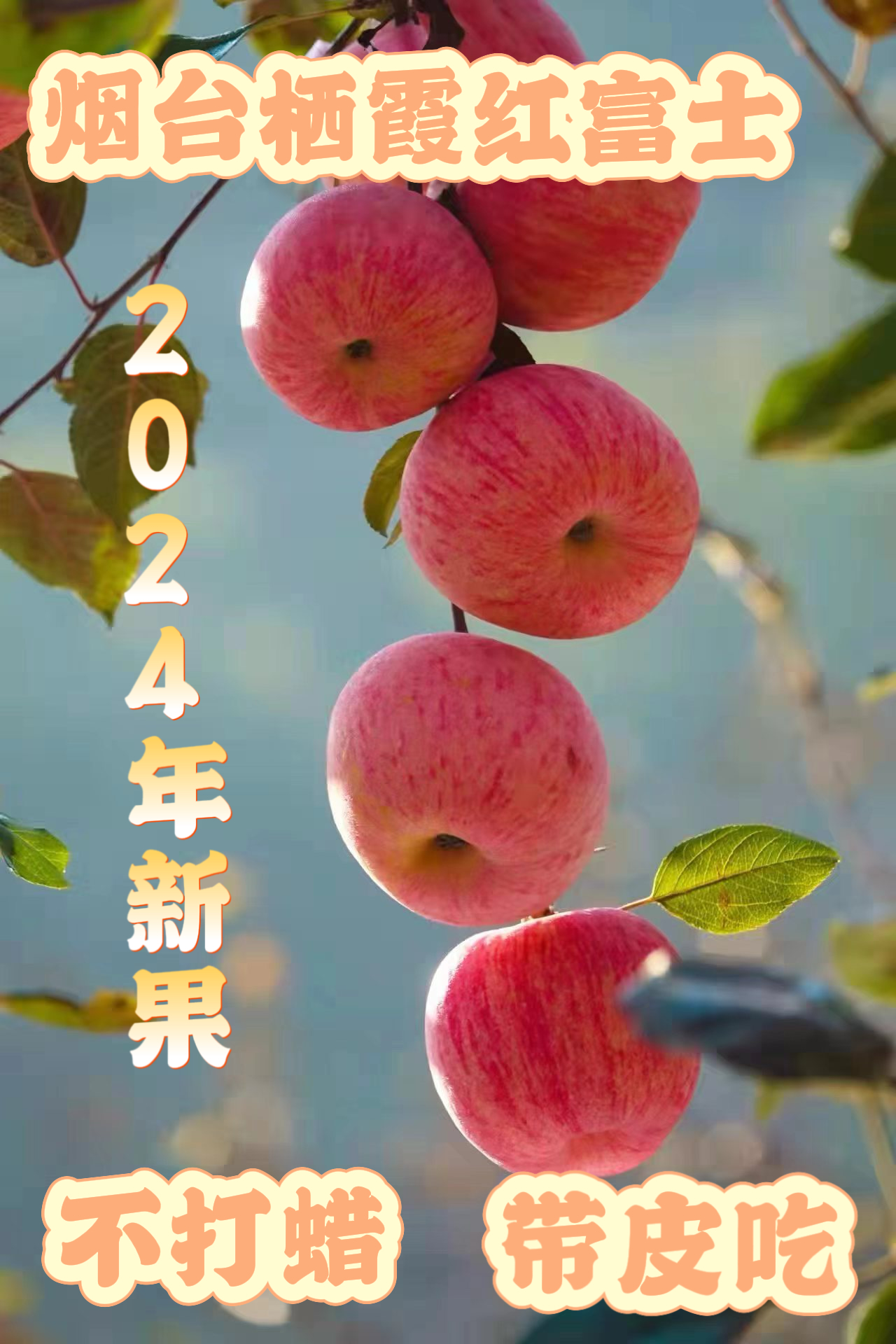 超甜脆爽多汁烟台栖霞红富士苹果10斤