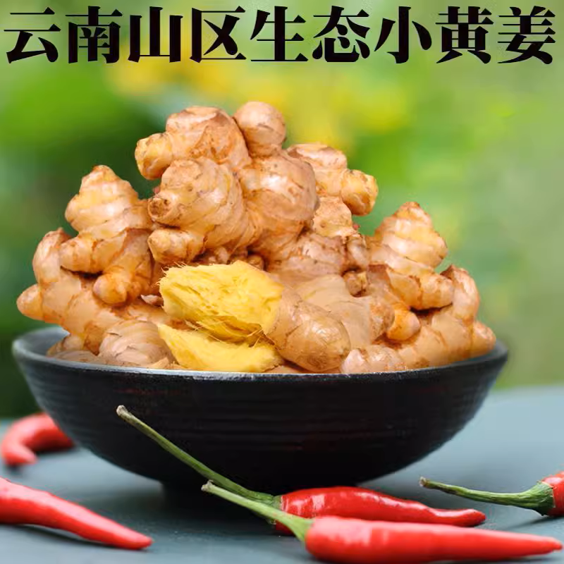 云南小黄姜斤新鲜老姜沙姜仔姜月子姜农家现挖南姜生姜批发/3/5斤