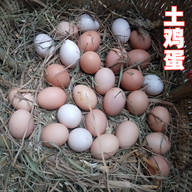 四川土鸡蛋广元农村农家养土鸡蛋30包邮